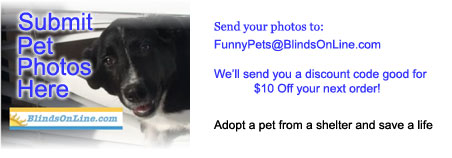 send in your funny pet photos to funnypets at blindsonline.com